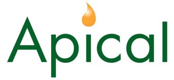 Apical logo